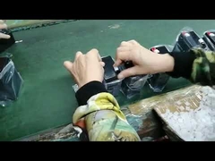 Ligne de production de batteries-1