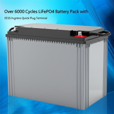 Plus de 6000 cycles LiFePO4 Batterie avec protection IP65 contre l'intrusion et terminal de prise rapide EES-6mm