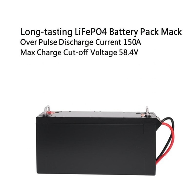 Batterie LiFePO4 de longue durée avec plus de 6000 cycles Max.Pulse Décharge Courant 150A Max Charge Voltage de coupure 58.4V